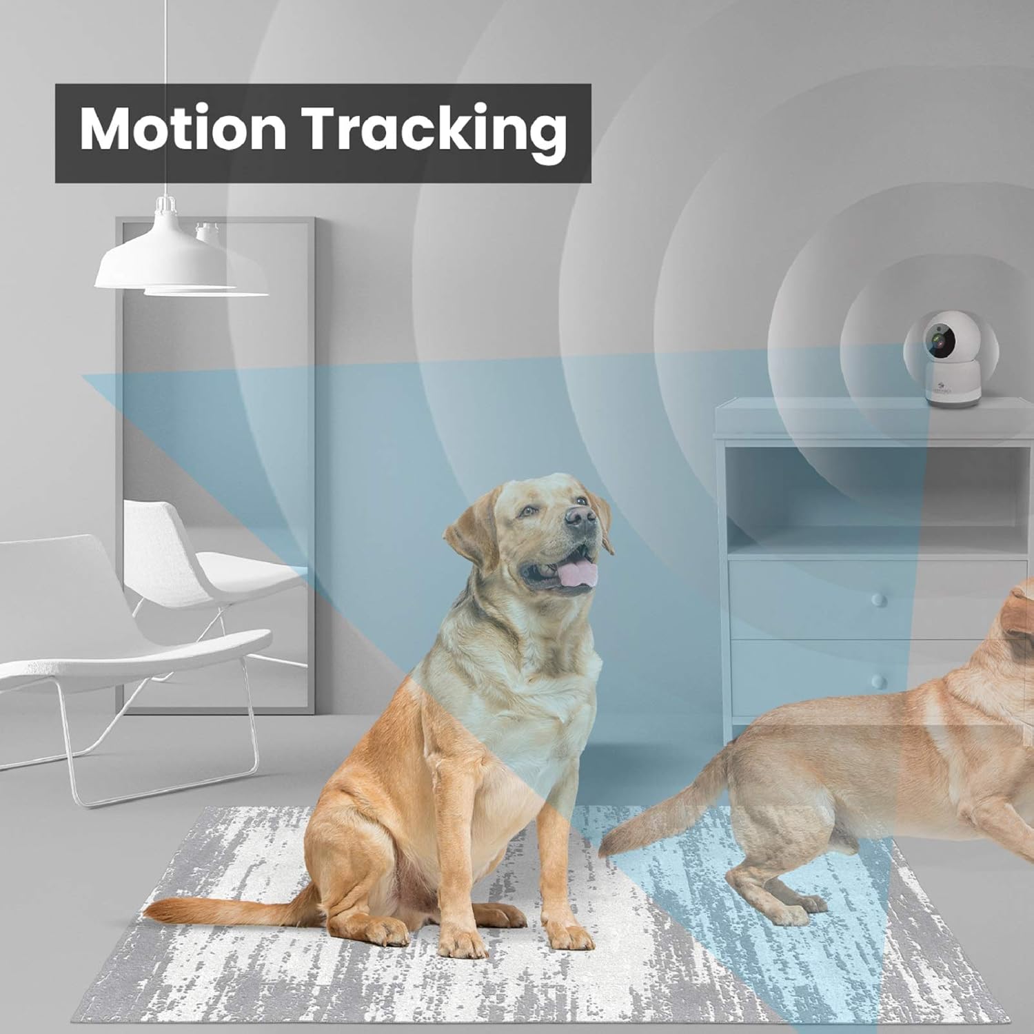 71kUf0hAJCL._SL1500_