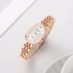 Ladies Luxury watch premium model