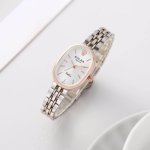Ladies Luxury watch premium model